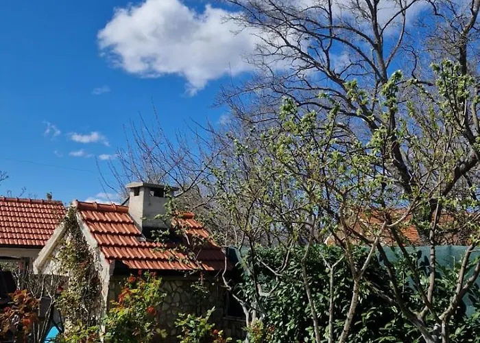Dona Bella Villa *